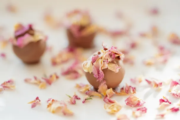 カジノ パラダイス ウィン Android/iOS アプリ